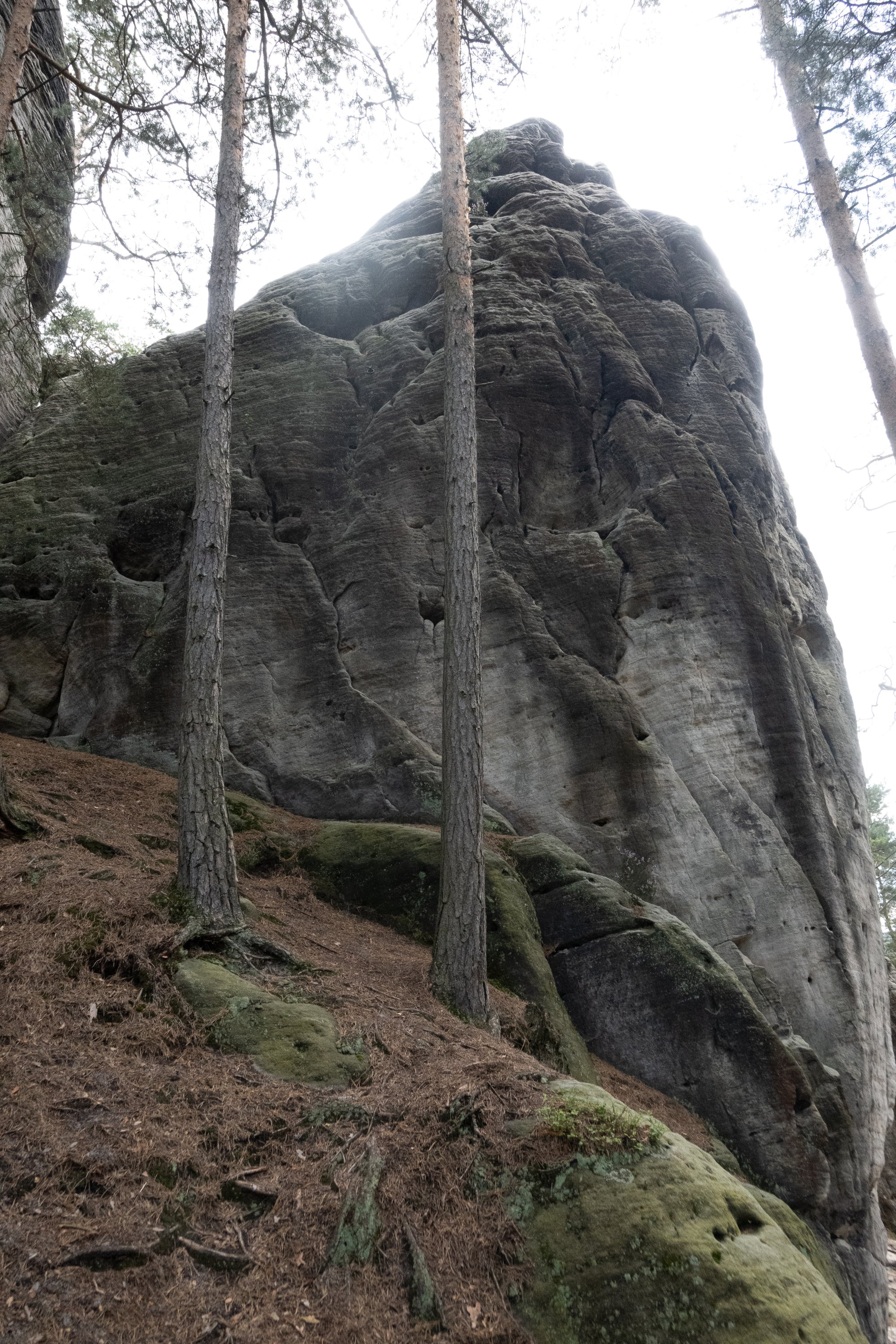Druhá